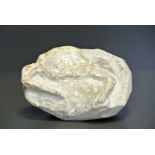 A FOSSILIZED CRAB. (h 9.5cm x w 15.5cm x d 10cm)