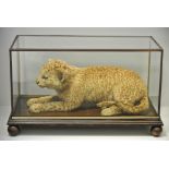 A LATE 19TH/EARLY 20TH CENTURY TAXIDERMY LEOPARD CUB Mounted in a glazed display case. (h 32cm x w