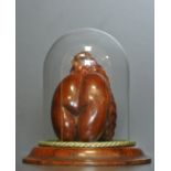A 19TH/20TH CENTURY MINIATURE COCO DE MER Displayed with a Thika pod under a glass dome, the Coco de