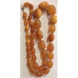 AN ANTIQUE NATURAL BALTIC AMBER NECKLACE The single string of graduating oval beads on a white metal