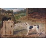 A 19TH CENTURY ENGLISH SCHOOL OIL ON CANVAS Terrier and cat in a barn, framed. (21cm x 31cm)