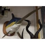 A 20TH CENTURY TAXIDERMY SWORDFISH HEAD Mounted on an oak shield. (d 112cm)