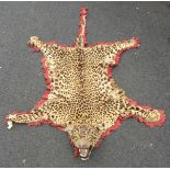 A LATE 19TH/EARLY 20TH CENTURY TAXIDERMY LEOPARD SKIN RUG WITH MOUNTED HEAD.