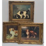 A SET OF THREE COLOURED PORTRAIT PRINTS OF SPANIELS In heavy decorative gilt frames. (69cm x 59cm)