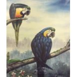 A DARK WOOD FRAMED ORTHOLOGICAL OIL PAINTING Study of parrots perched on three branches.