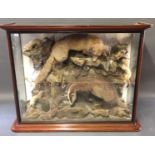 A LATE 19TH/EARLY 20TH CENTURY TAXIDERMY DIORAMA OF BRITISH MAMMALS Mounted in a glazed mahogany