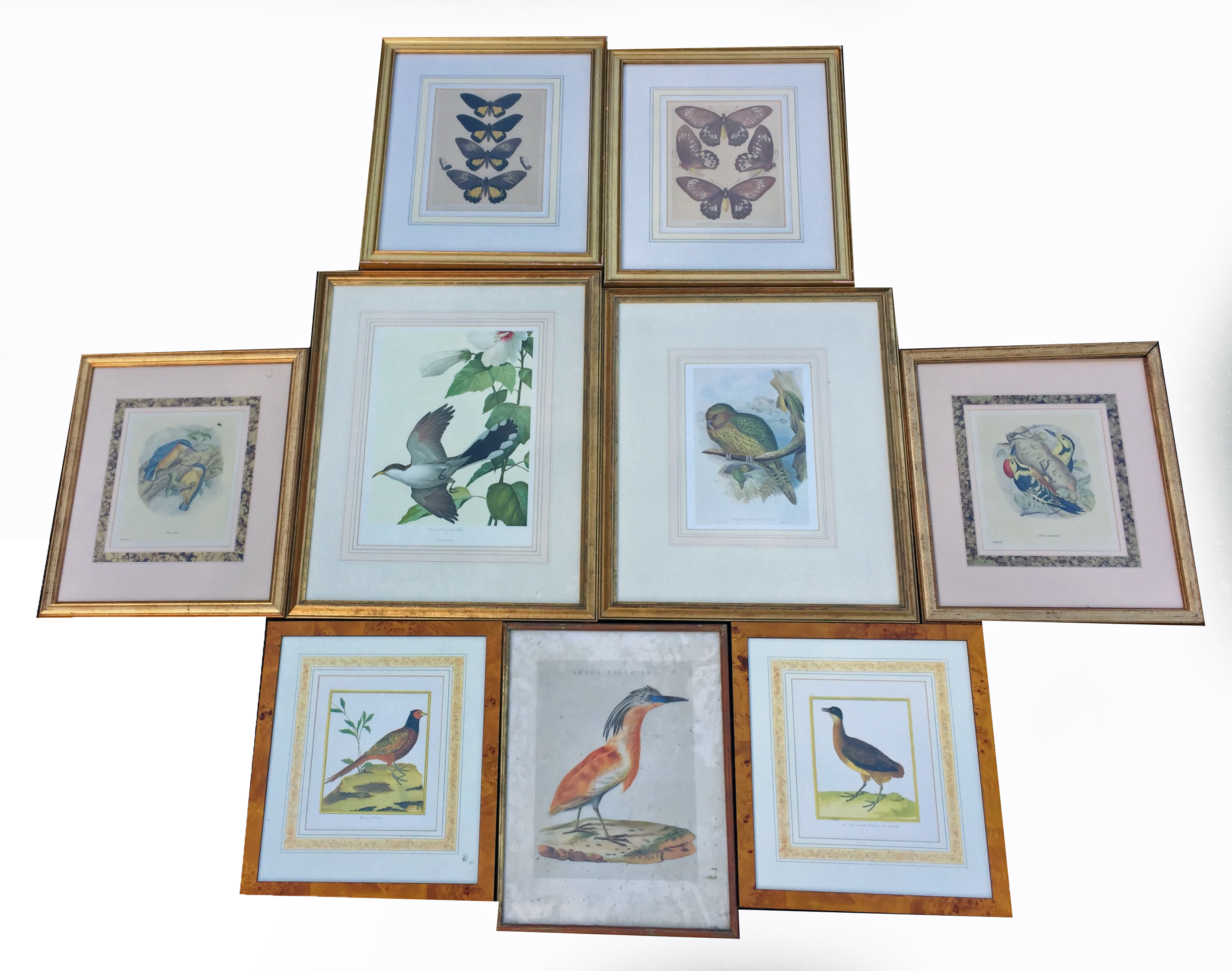 A SELECTION OF BIRD RELATED PRINTS/ENGRAVINGS To include a pair of coloured engravings of game