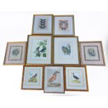 A SELECTION OF BIRD RELATED PRINTS/ENGRAVINGS To include a pair of coloured engravings of game