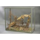 ROWLAND WARD, A LATE 19TH CENTURY TAXIDERMY PAIR OF WOODCOCKS Mounted in a later glazed case with