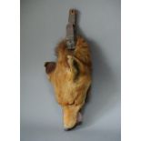 PETER SPICER & SONS, AN EARLY 20TH CENTURY TAXIDERMY FOX DEATH MASK. (h 43cm)