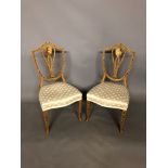 A PAIR OF LATE VICTORIAN SATIN WOOD STANDARD CHAIRS The shield back painted with a Gainsborough