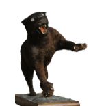 A 20TH CENTURY TAXIDERMY BLACK PANTHER/MELANISTIC LEOPARD Mounted on a plinth with naturalistic