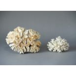 A LATE 19TH CENTURY GROUP OF CORAL SPECIMENS. (largest measuring l 24cm)
