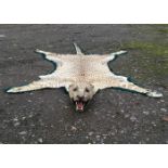 A LATE 19TH/EARLY 20TH CENTURY TAXIDERMY LEOPARD SKIN RUG WITH MOUNTED HEAD Skull present. (l