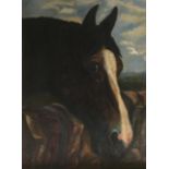 A LATE 19TH CENTURY ENGLISH SCHOOL OIL ON CANVAS Equestrian portrait, a chesnut with white blaze,