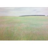 DEREK WILKINSON, A 20TH CENTURY PASTEL Landscape, 'High Field', a contemporary style countryside