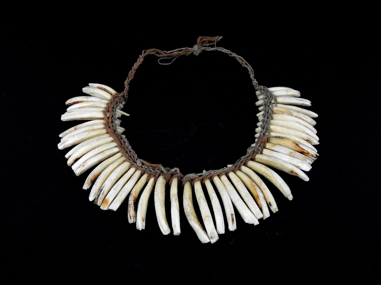 An antique tribal necklace, with a number of teeth