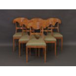 A set of 10 Biedermeier style satinwood dining chairs