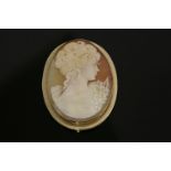 A gold mounted oval cameo bust. stamped. 5.5cm high
