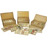 A large quantity of microscope slides,19th century and later, a quantity in three pine fall front