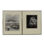 Two signed photographs by John Hedgecoe, Augustus John 1952, and Ceder Iris 1954