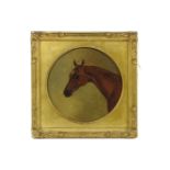 Follower of J F HerrigSTUDY OF A HORSE'S HEADcircular, oil on canvas,23 x 23cm