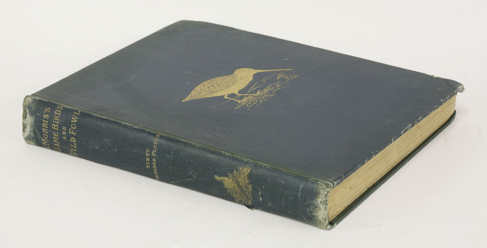 MORRIS, Beverley R: British Game Birds and Wildfowl. With 60 hand-coloured plates. Groombridge and