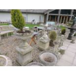 A pair of Haddonstone garden urns on square plinths, planted with conifers, one urn damaged,