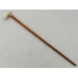 A late Victorian Malacca walking stick, with 9ct gold collar and ivory handle, engraved with a