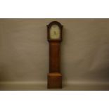 A Richardson, Coleford, oak 30 hours longcase clock