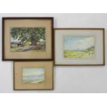 HIMALAYAN SUBJECTS, MOUNTAINOUS LANDSCAPESTwo, framed and glazed27 x 25cm and 24 c 34cmE F A WiseA