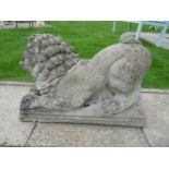 A pair of composition stone lions, 39cm high
