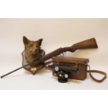 A taxidermy of a mounted fox head, together with a theodolite, and an air rifle