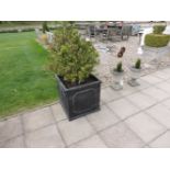 A pair of large faux lead planters, each planted with a box tree