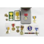 Nine various US medals and two badges, including Virgin Islands distinguished service cross, etc