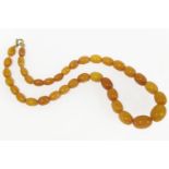 A single row graduated olive shaped butterscotch amber bead necklace22.45g