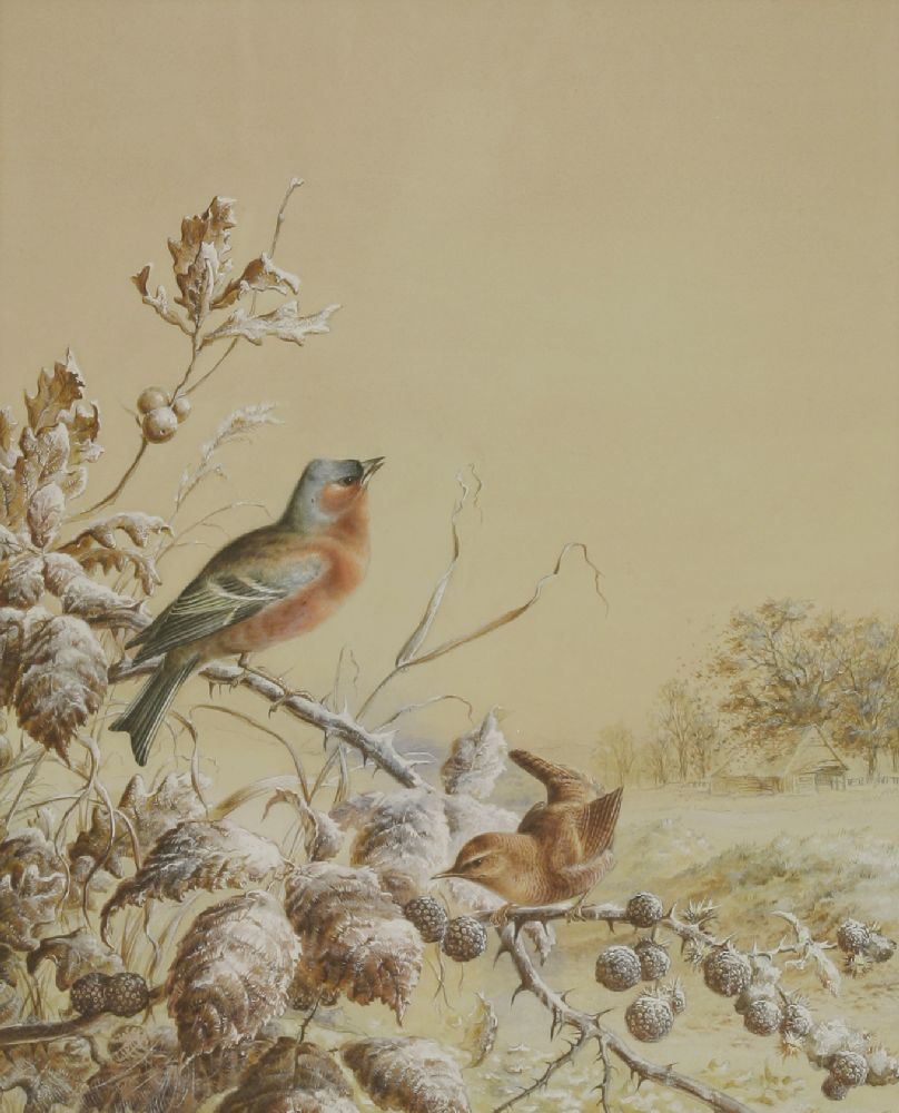Harry Bright (1846-1895)A WINTER SCENE WITH A BULLFINCH AND A WREN ON A BLACKBERRY BUSHSigned and