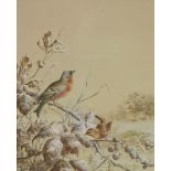 Harry Bright (1846-1895)A WINTER SCENE WITH A BULLFINCH AND A WREN ON A BLACKBERRY BUSHSigned and