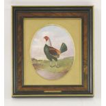 A painted porcelain panel of a fighting cock,by James Edwin Dean, possibly Mintons, signed,26.5 x