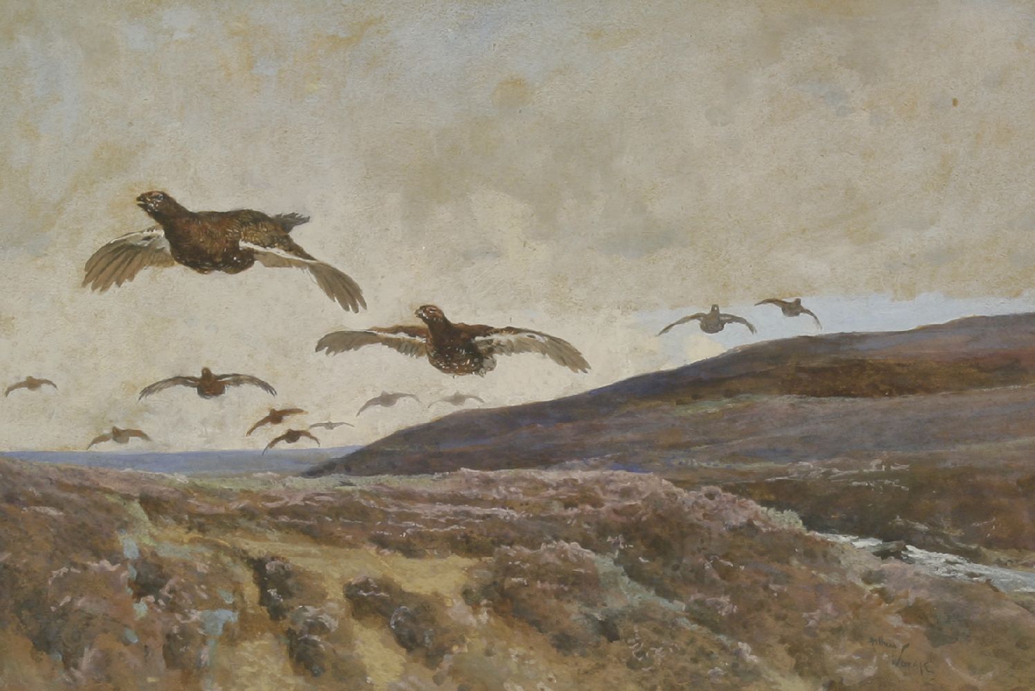 *Arthur Wardle (1864-1949)'DRIVEN GROUSE'Signed l.r., gouache24 x 36cm *Artist's Resale Right may