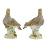 A pair of Meissen porcelain partridges, raised on naturalistic and gilt scrolled bases, crossed