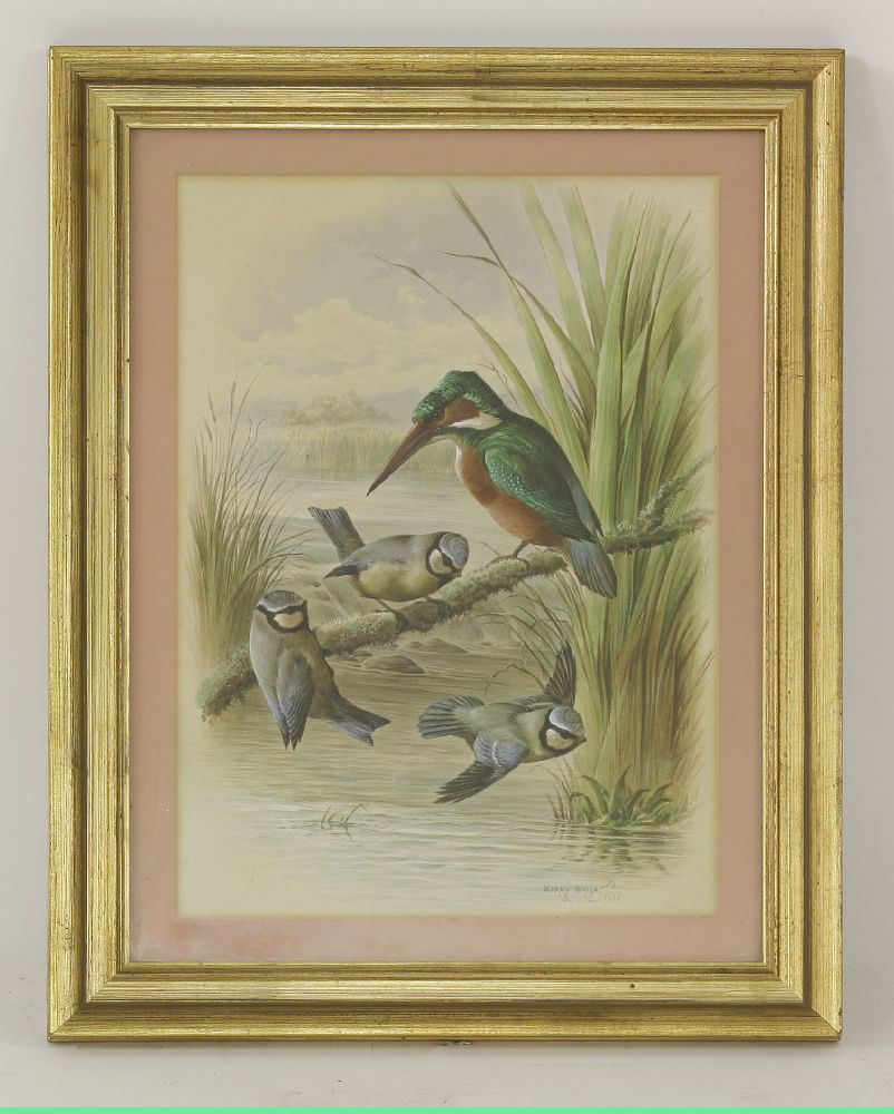 Harry Bright (1846-1895)A KINGFISHER AND THREE BLUE TITSSigned and dated 1892 l.r., watercolour - Bild 2 aus 4