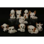 A quantity of Sylvac 'funnies', humorous pottery figures of dogs, the largest 10cm tall