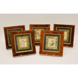 A set of five miniature floral bookplates, maple framed and glazed to match (5)