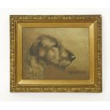 L...W...Lucas (20th century)HEAD OF AN IRISH WOLFHOUND'Ch.Harbury Brinda'signed, inscribed and dated