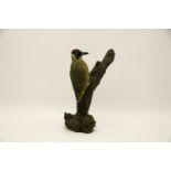 Mike Woods, green woodpecker, carved wood and painted, signed, 22cm high