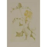 Leonard Baskin (American, 1922-2000)THISTLE AND YELLOW FLOWERRED FLOWERTwo etchings printed in