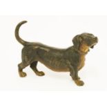 A cold painted bronze dachshund, indistinctively stamped and marked 4168, 8.5cm long,