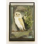 Taxidermy: a barn owl,mounted in a naturalistic scene with faux rockwork and ivy, a wall hanging