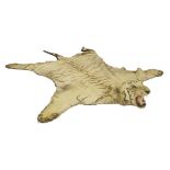A tiger skin,with a full head mount, felt edged, possibly dated 09/06,280cm